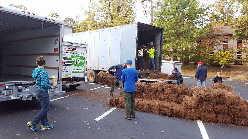 Working at the Pine Straw Sale